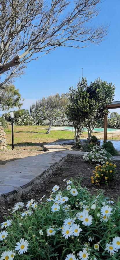 Lispusada B&B Biancareddu Bagian luar foto