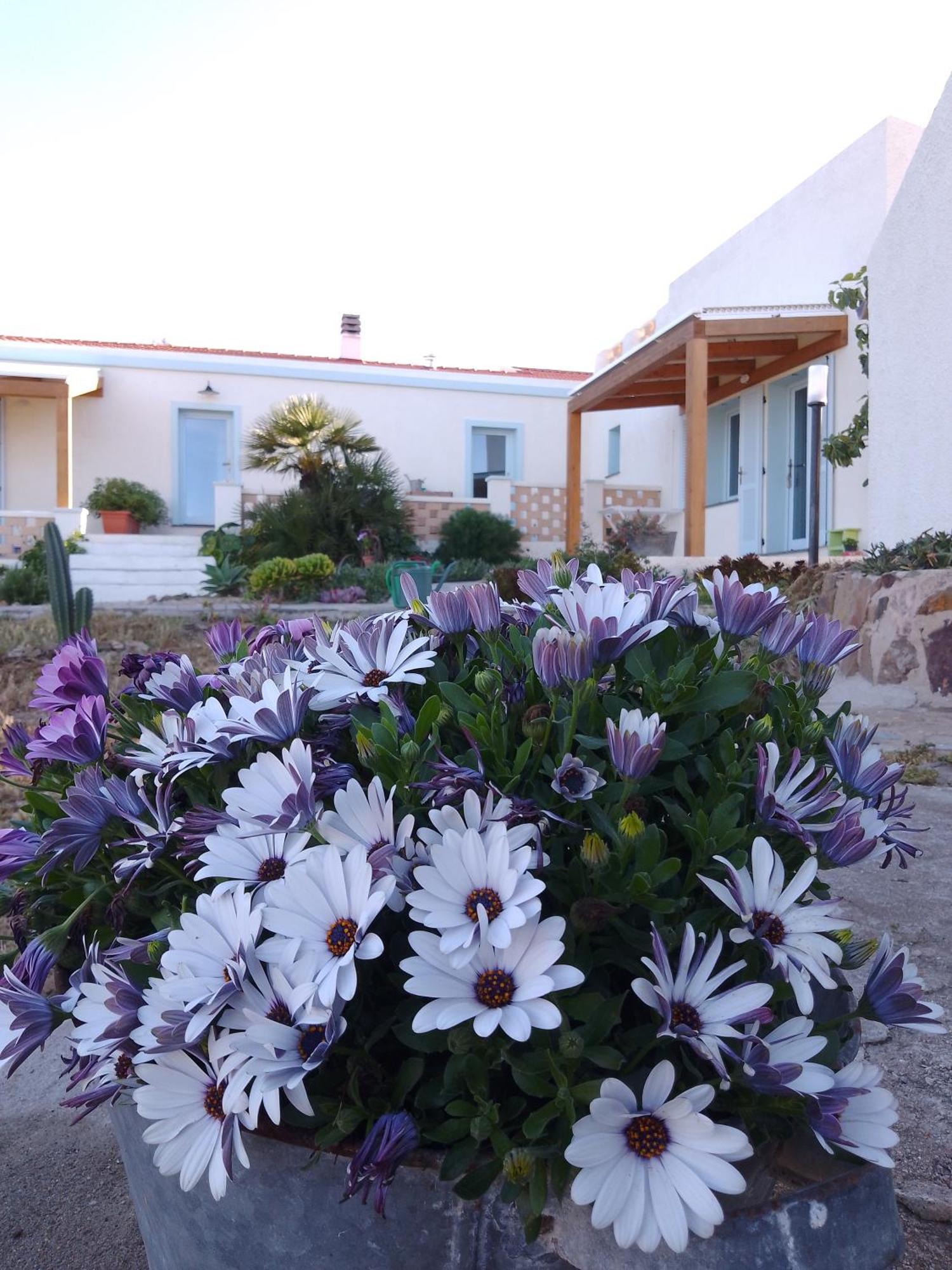 Lispusada B&B Biancareddu Bagian luar foto
