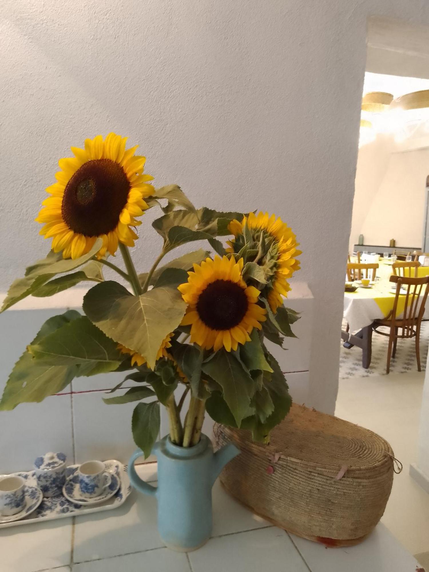 Lispusada B&B Biancareddu Bagian luar foto