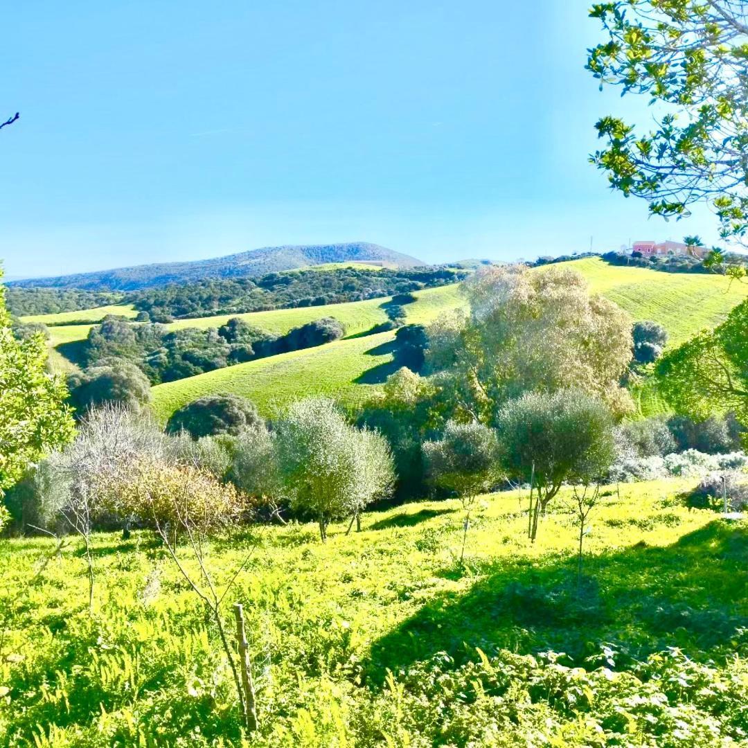Lispusada B&B Biancareddu Bagian luar foto