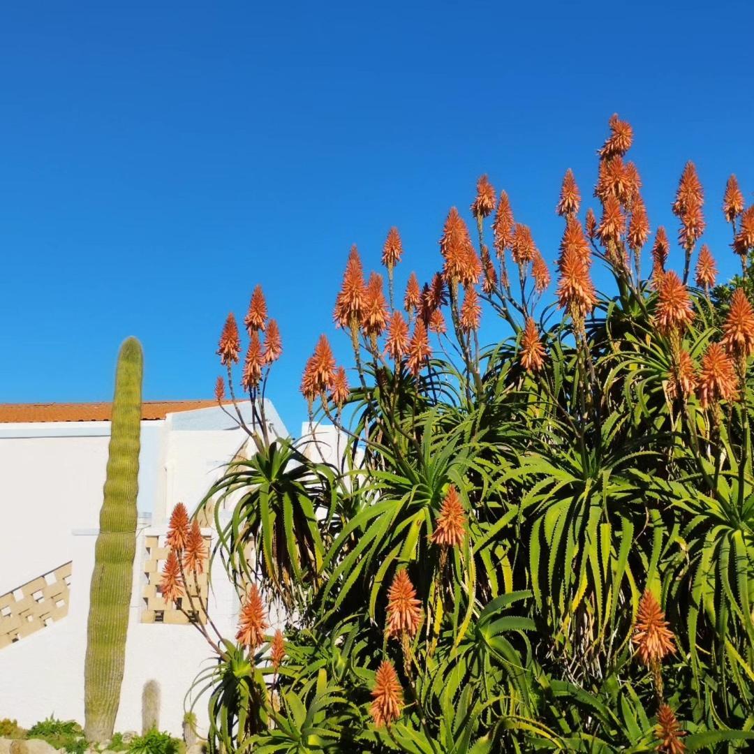 Lispusada B&B Biancareddu Bagian luar foto